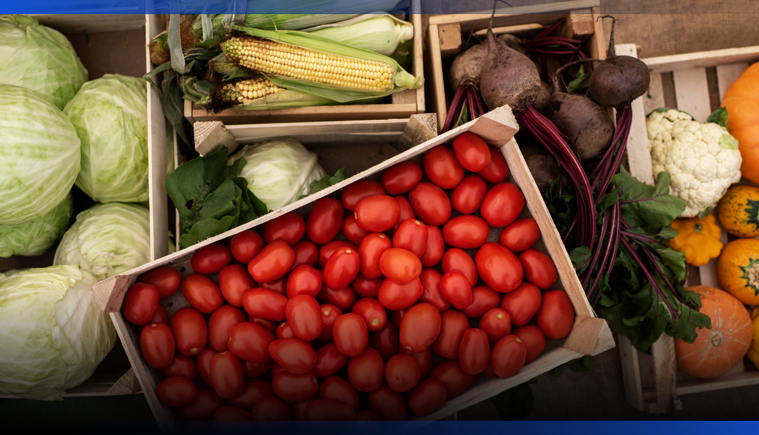 Image for Переработка сельхозпродукции в Казахстане достигнет 70% уже в этом году